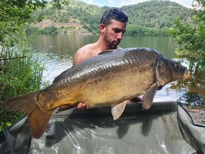 Mirror Carp
