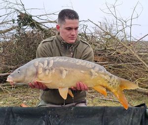 Mirror Carp