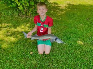 Sturgeon