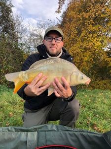 Common Carp