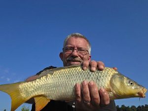 Common Carp