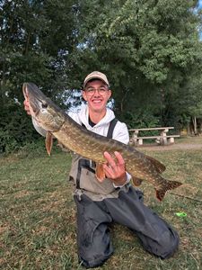 Northern Pike