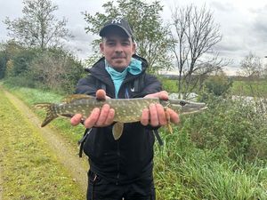 Northern Pike