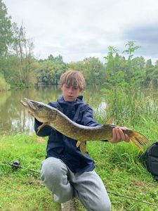 Northern Pike