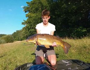 Common Carp