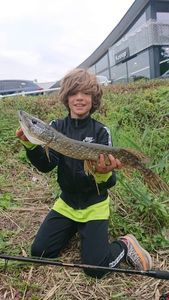 Northern Pike