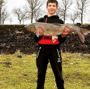 Grass Carp