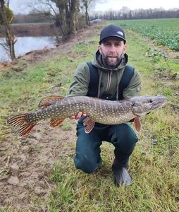 Northern Pike