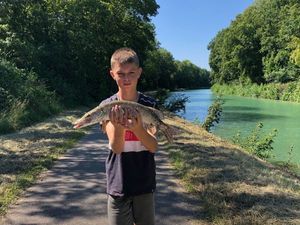 Northern Pike