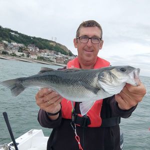 European Bass (Seabass)