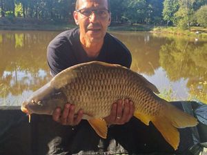 Common Carp