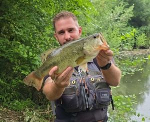 Smallmouth Bass