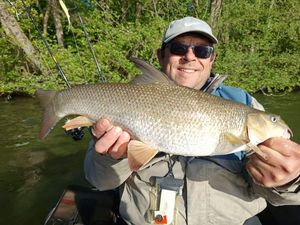 Barbel
