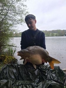 Mirror Carp