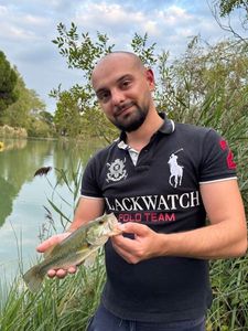 Smallmouth Bass