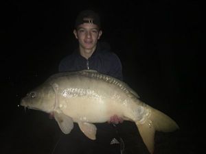 Mirror Carp