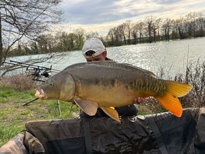 Leather Carp
