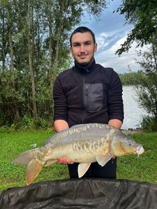 Mirror Carp