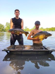 Mirror Carp