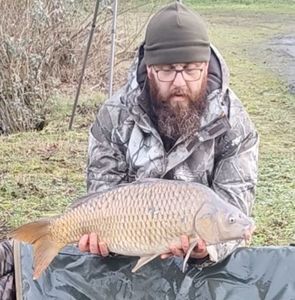 Common Carp