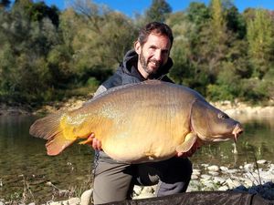 Mirror Carp