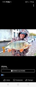European Perch