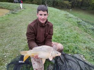 Common Carp