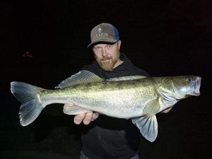Zander