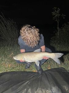 Grass Carp