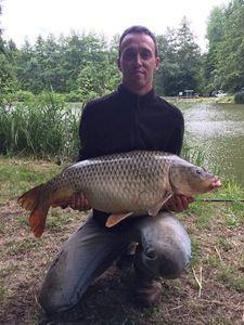Common Carp