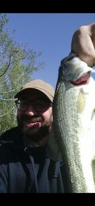 Smallmouth Bass