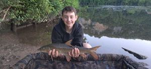 Barbel