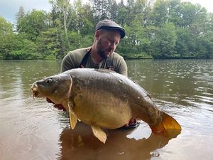 Mirror Carp