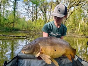 Mirror Carp