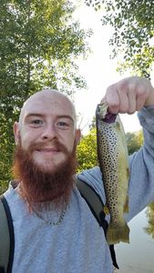 Rainbow Trout