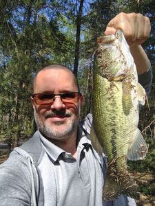 Largemouth Bass