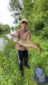 Northern Pike