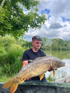 Mirror Carp