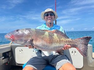 Bluespotted seabass