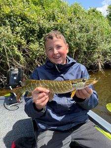 Northern Pike