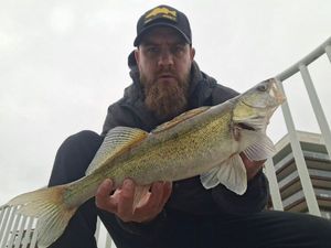 Zander