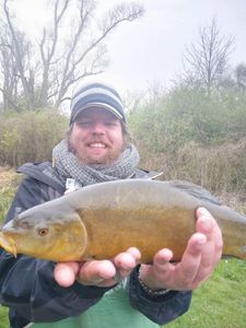 Tench