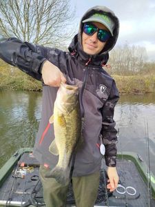 Largemouth Bass