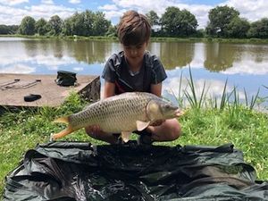 Common Carp