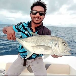 Giant Trevally (GT)