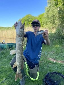Northern Pike