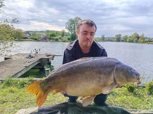 Mirror Carp