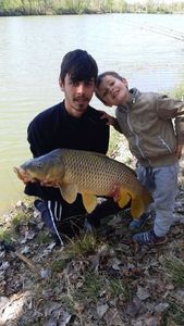 Common Carp