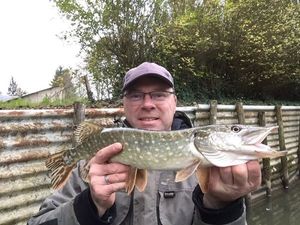 Northern Pike