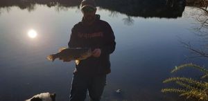 Largemouth Bass